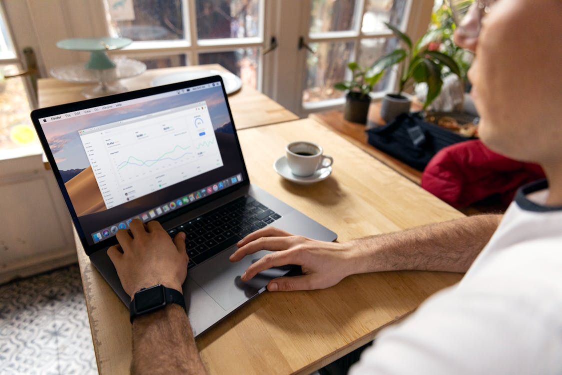 person reviewing performance stats on laptop